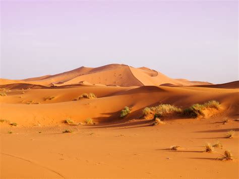 saharasdessert|Visiter le Sahara